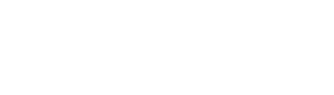 FLIGHT SHOT